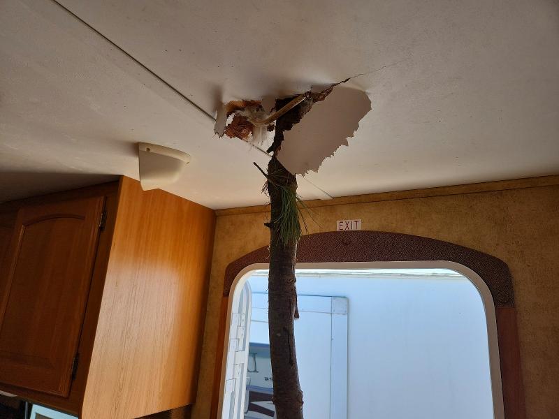 2009 Keystone Laredo მანქანა იყიდება აუქციონზე, vin: 4YDT272209L600704, აუქციონის ნომერი: 49736176