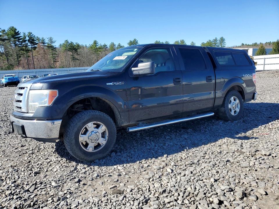 Auction sale of the 2010 Ford F150, vin: 1FTEW1E85AFB76341, lot number: 50908736