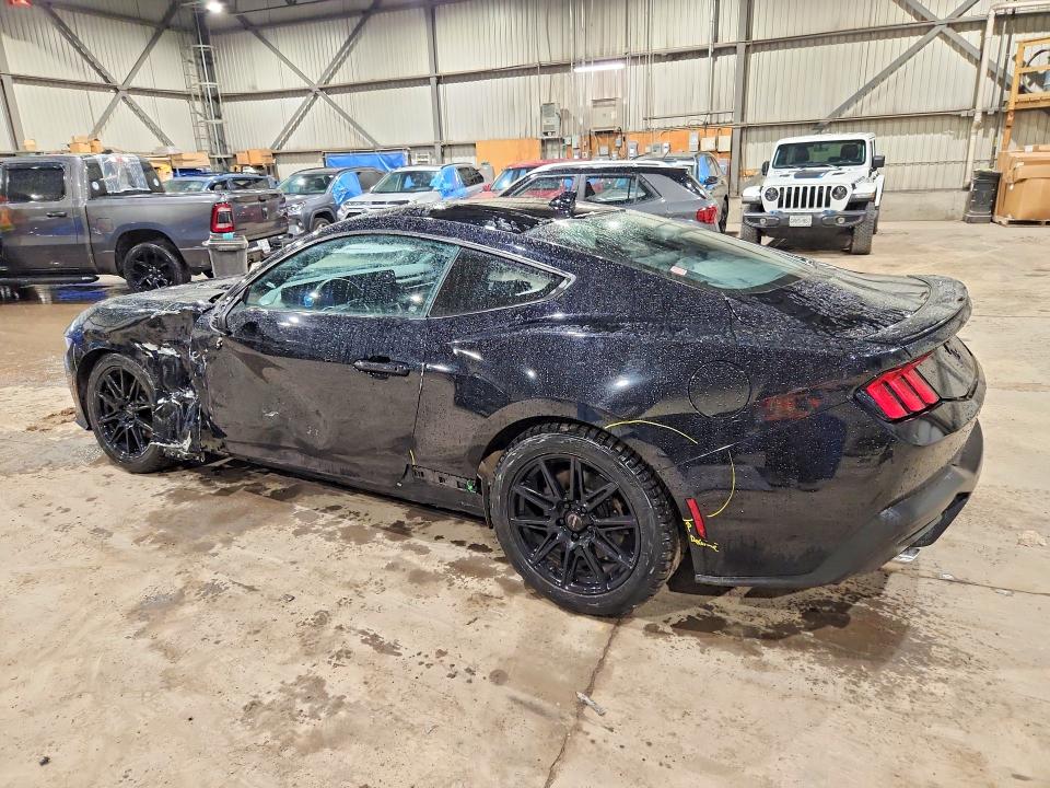 Продажа на аукционе авто 2024 Ford Mustang, vin: 1FA6P8TH5R5104074, номер лота: 49307686