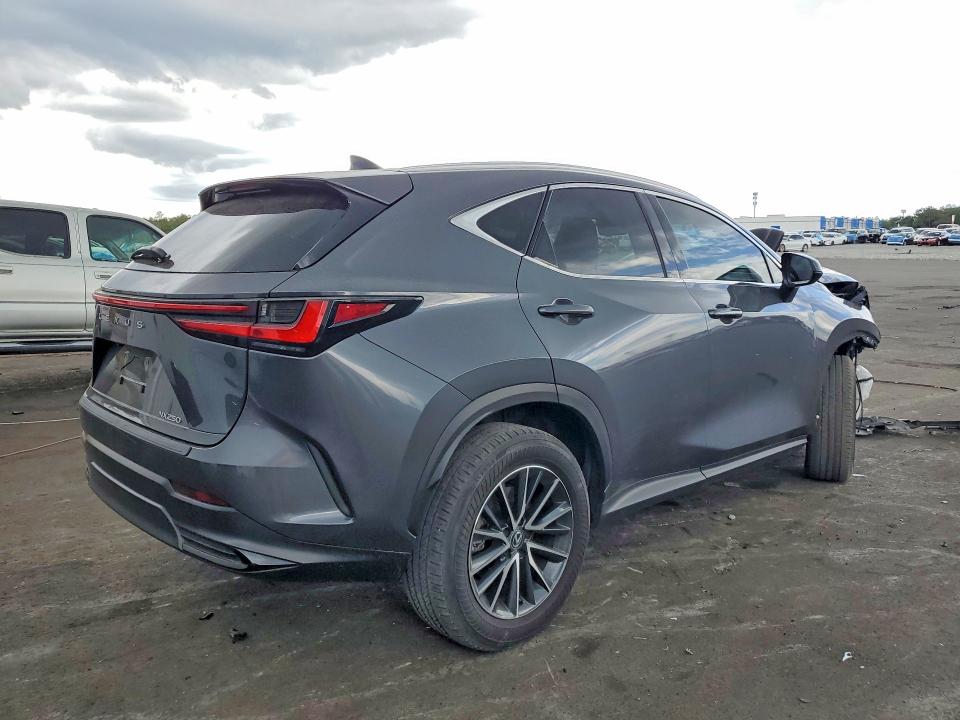 51541856 :رقم المزاد ، 2T2GDCAZ8SC020809 vin ، 2025 Lexus Nx مزاد بيع
