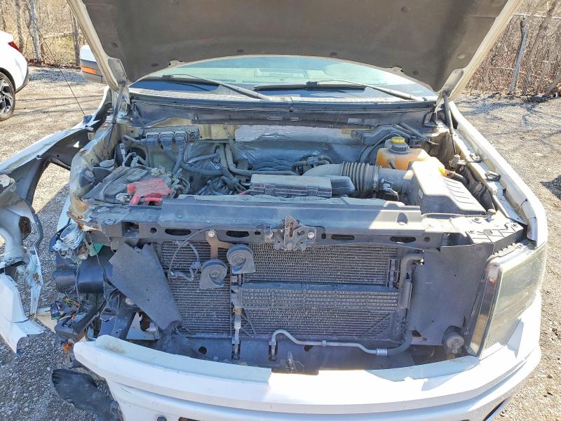 50423846 :رقم المزاد ، 1FTFW1EF8EFB78500 vin ، 2014 Ford F150 مزاد بيع