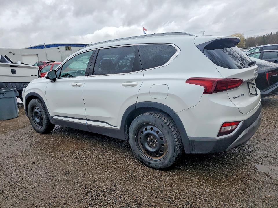 Продаж на аукціоні авто 2020 Hyundai Santa Fe, vin: 5NMS3CAD1LH200005, номер лоту: 49227166