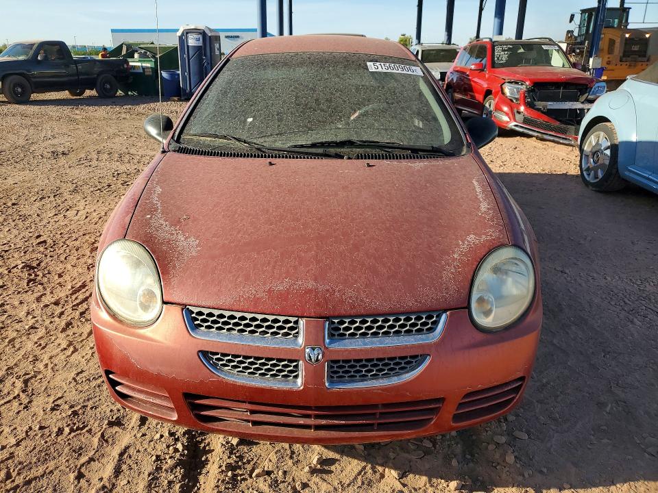 51560906 :رقم المزاد ، 1B3ES56C35D285566 vin ، 2005 Dodge Neon مزاد بيع