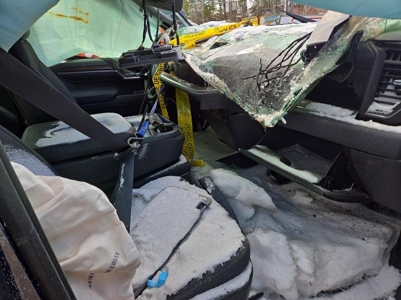 2023 Chevrolet Silverado მანქანა იყიდება აუქციონზე, vin: 3GCUDEED0PG131434, აუქციონის ნომერი: 45487926