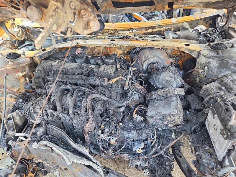 49874226 :رقم المزاد ، KMHLM4DG9SU905683 vin ، 2025 Hyundai Elantra مزاد بيع