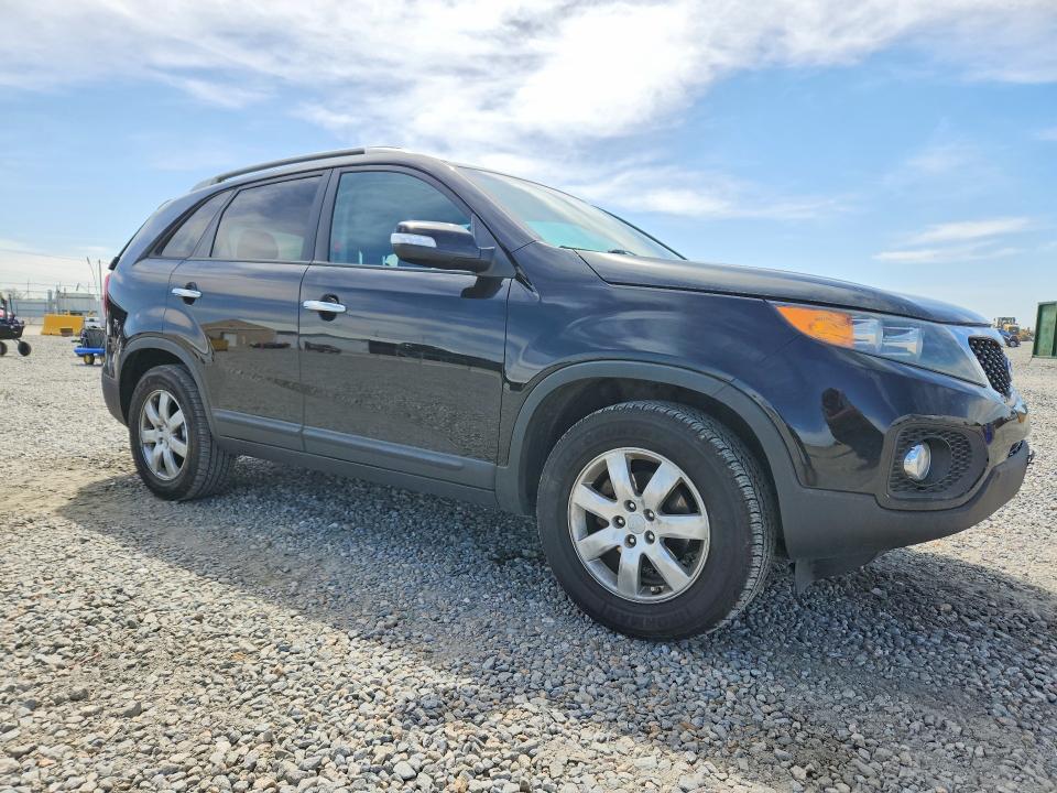 50480446 :رقم المزاد ، 5XYKT3A66DG423427 vin ، 2013 Kia Sorento مزاد بيع