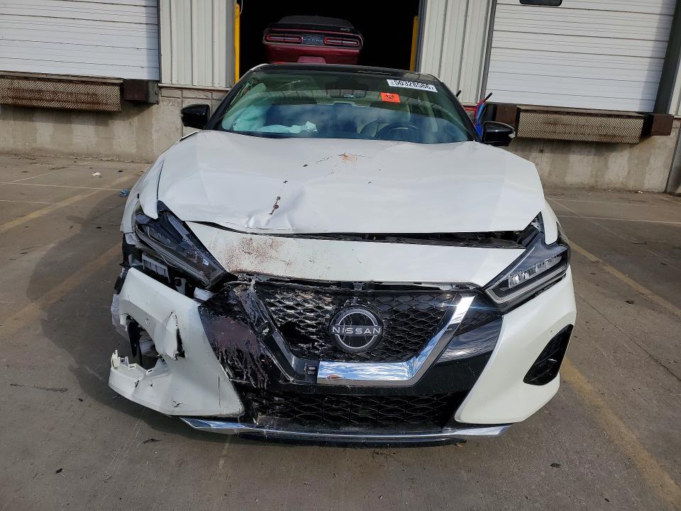 Aukcja sprzedaży 2023 Nissan Maxima, vin: 1N4AA6FV5PC503531, numer aukcji: 50328586