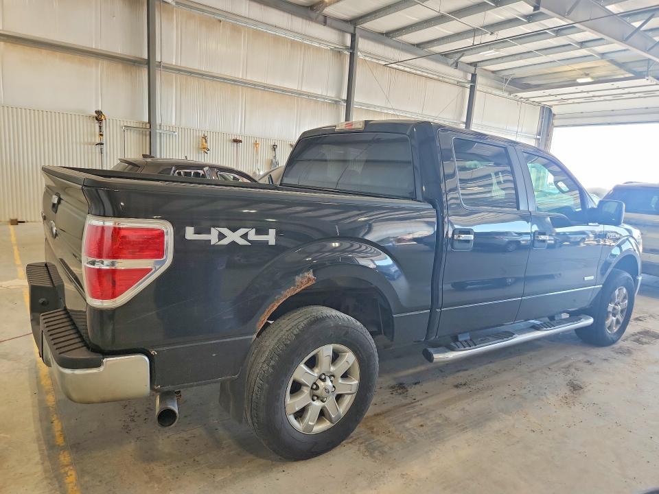 51167456 :رقم المزاد ، 1FTFW1ETXDKE34373 vin ، 2013 Ford F150 مزاد بيع