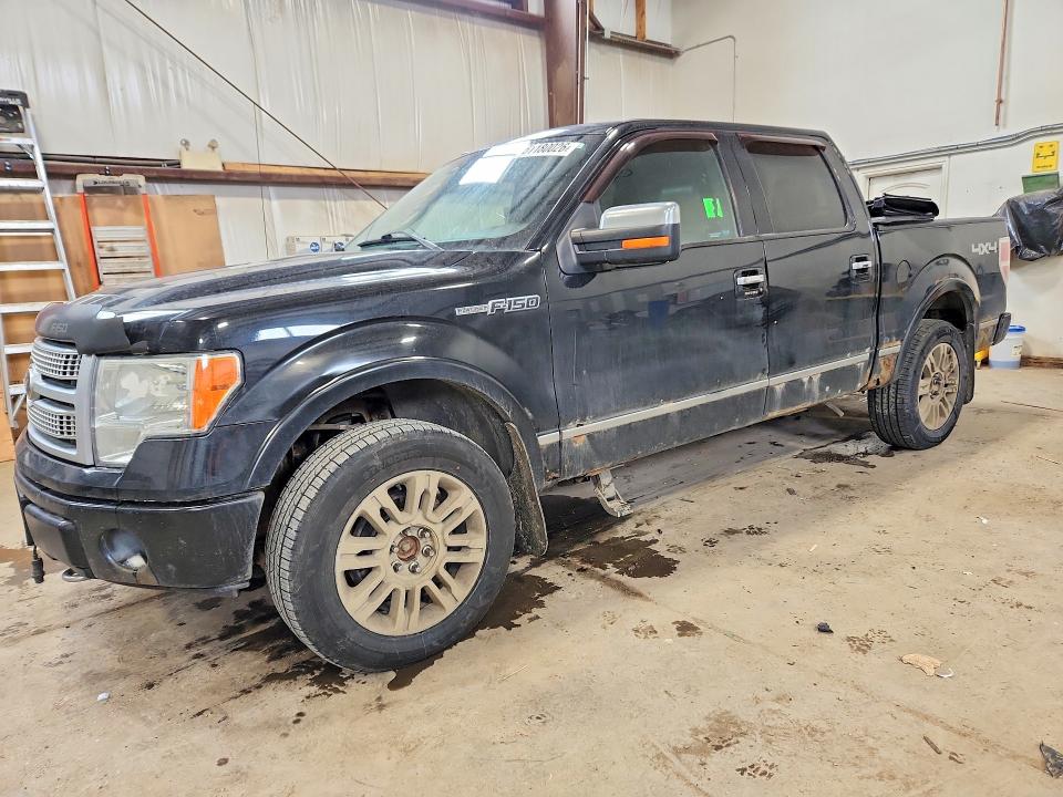Продажа на аукционе авто 2010 Ford F150, vin: 1FTFW1EV0AFA20038, номер лота: 51180026