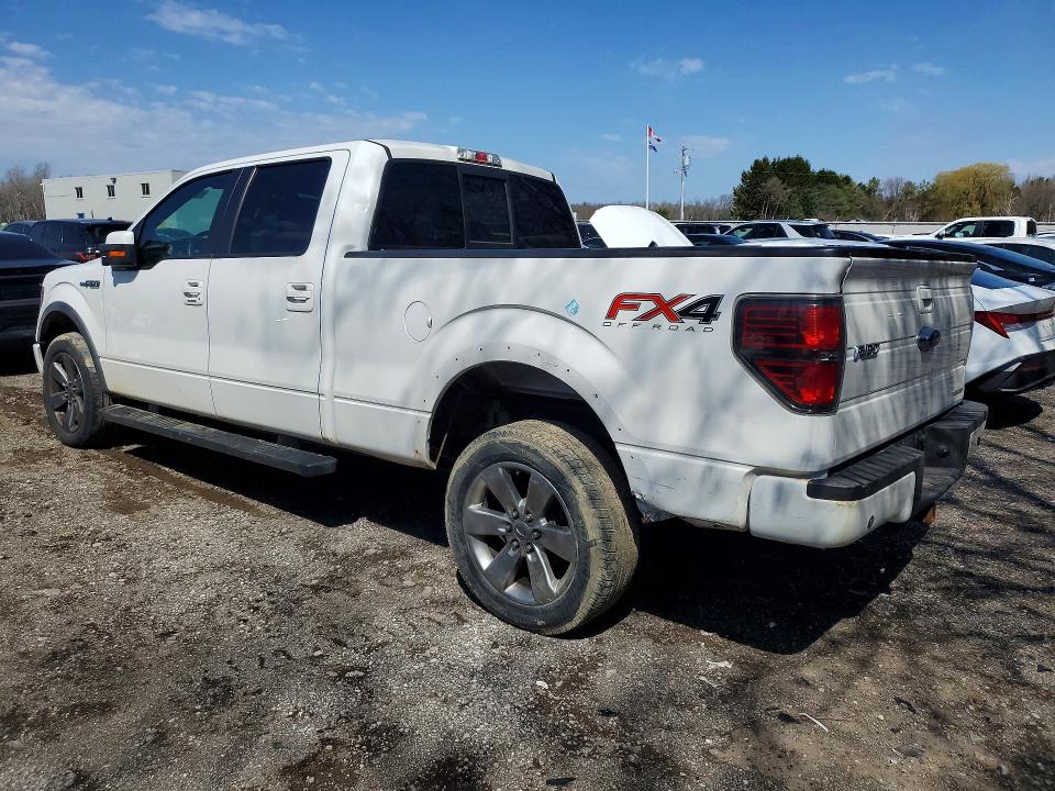 50423846 :رقم المزاد ، 1FTFW1EF8EFB78500 vin ، 2014 Ford F150 مزاد بيع