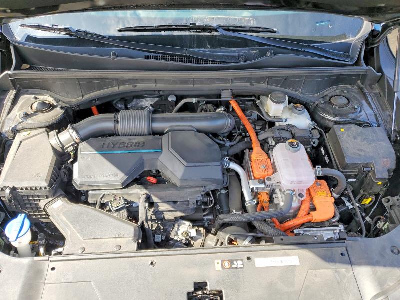 Aukcja sprzedaży 2025 Kia Sorento Hybrid, vin: KNDRHDJG4S5339692, numer aukcji: 47165456