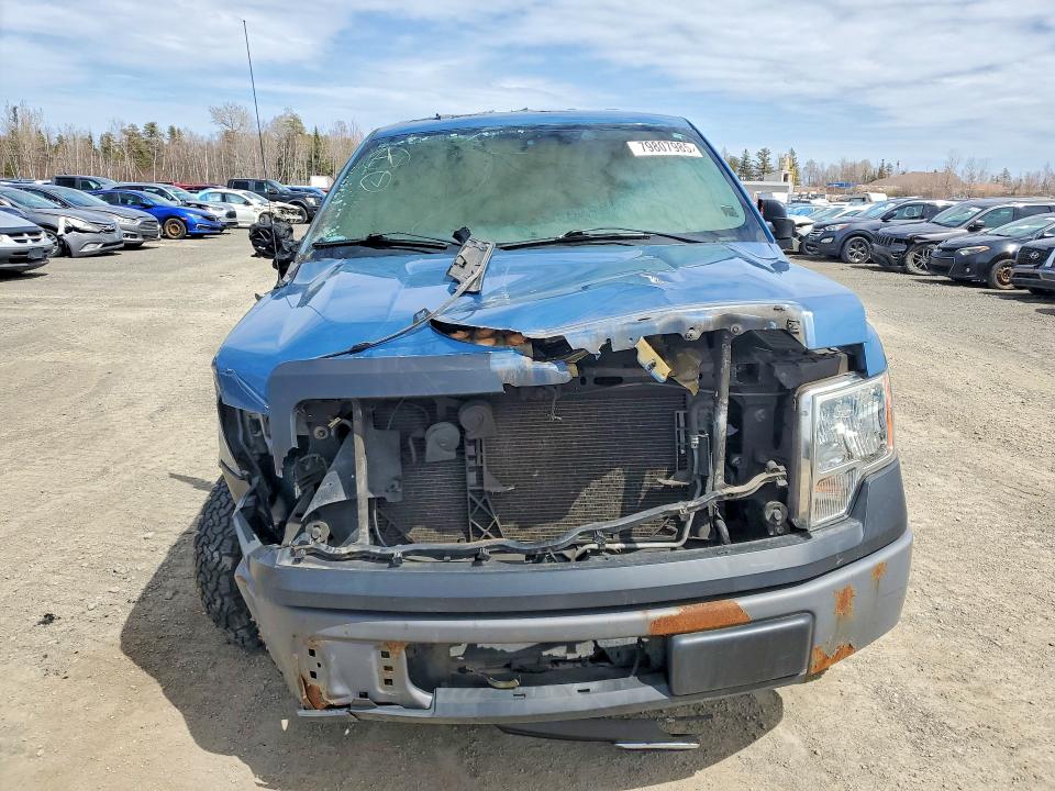 Продажа на аукционе авто 2013 Ford F150, vin: 1FTMF1CM1DKF62018, номер лота: 79807985
