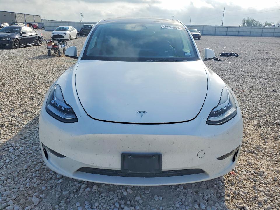 Продаж на аукціоні авто 2023 Tesla Model Y, vin: 7SAYGDEF4PA049541, номер лоту: 49785026