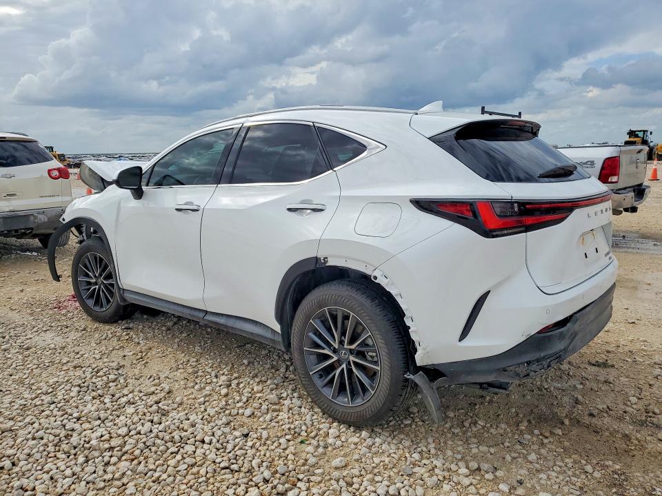 49494166 :رقم المزاد ، 2T2GGCEZ7TC106079 vin ، 2026 Lexus Nx مزاد بيع