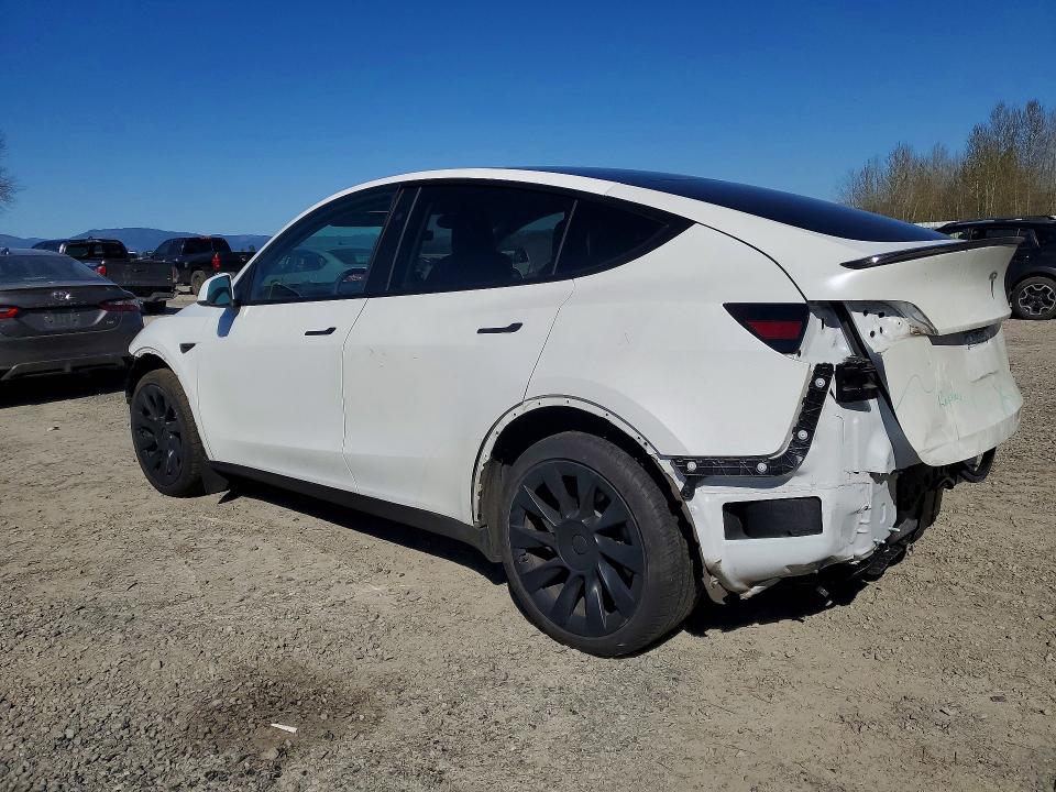 Продажа на аукционе авто 2024 Tesla Model Y, vin: 7SAYGDEE4RF126583, номер лота: 48715706