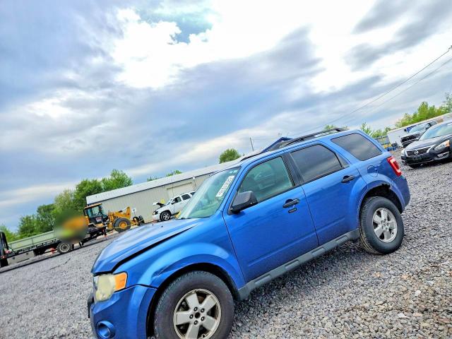 Aukcja sprzedaży 2009 Ford Escape, vin: 1FMCU03GX9KA09697, numer aukcji: 52001076