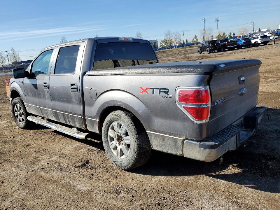 Aukcja sprzedaży 2010 Ford F150, vin: 1FTFW1EV4AFC54599, numer aukcji: 49839936