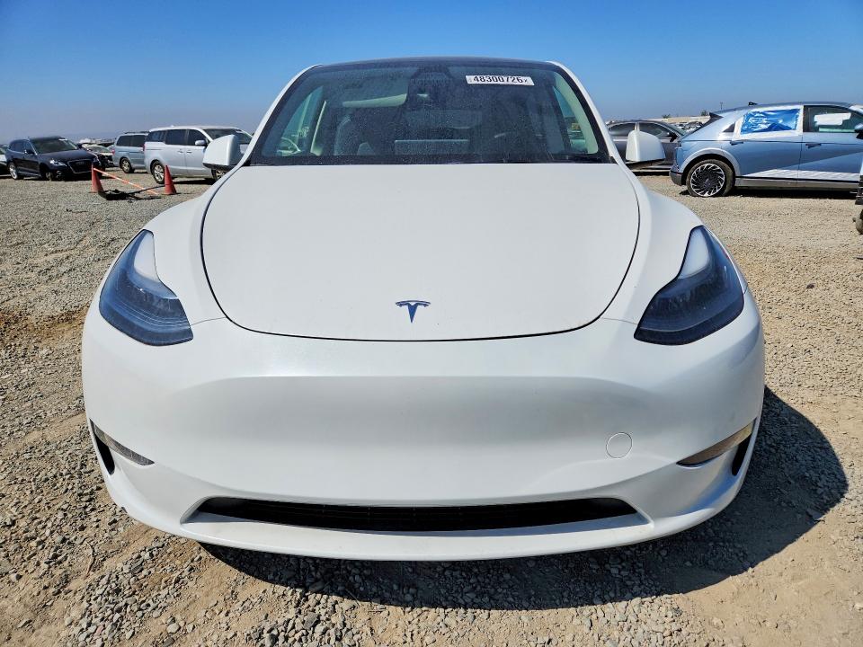 Продаж на аукціоні авто 2024 Tesla Model Y, vin: 7SAYGAEEXRF168142, номер лоту: 48300726