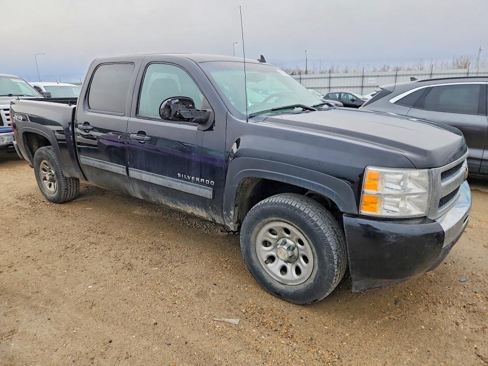 2011 Chevrolet Silverado მანქანა იყიდება აუქციონზე, vin: 3GCPKREA2BG189943, აუქციონის ნომერი: 50804286