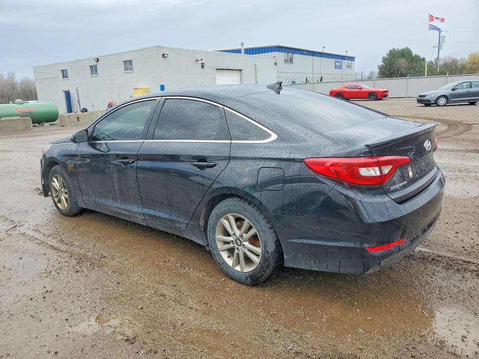 Продажа на аукционе авто 2015 Hyundai Sonata, vin: 5NPE24AF9FH048246, номер лота: 50097906