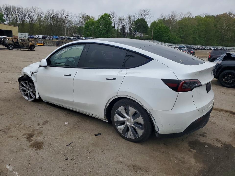 Aukcja sprzedaży 2023 Tesla Model Y, vin: 7SAYGDEEXPA149019, numer aukcji: 51242696