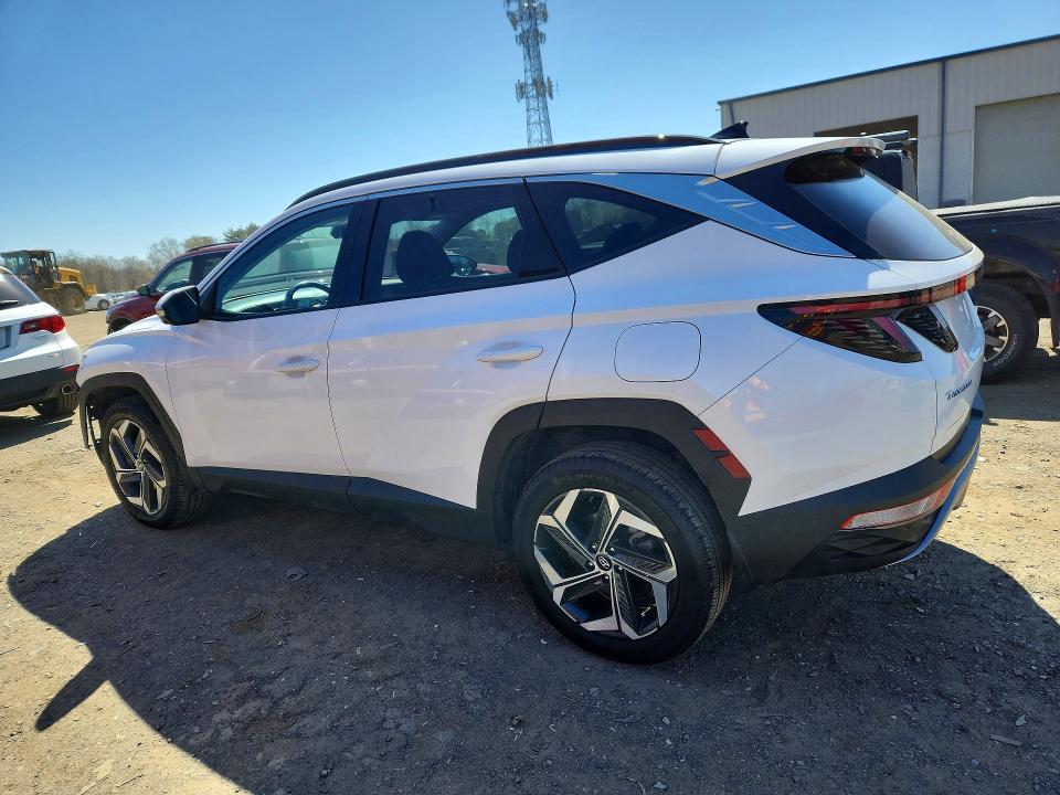 49249926 :رقم المزاد ، 5NMJECAE3PH244060 vin ، 2023 Hyundai Tucson مزاد بيع