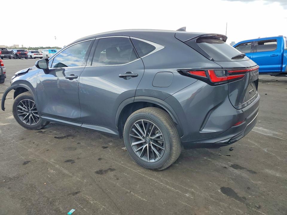 51541856 :رقم المزاد ، 2T2GDCAZ8SC020809 vin ، 2025 Lexus Nx مزاد بيع