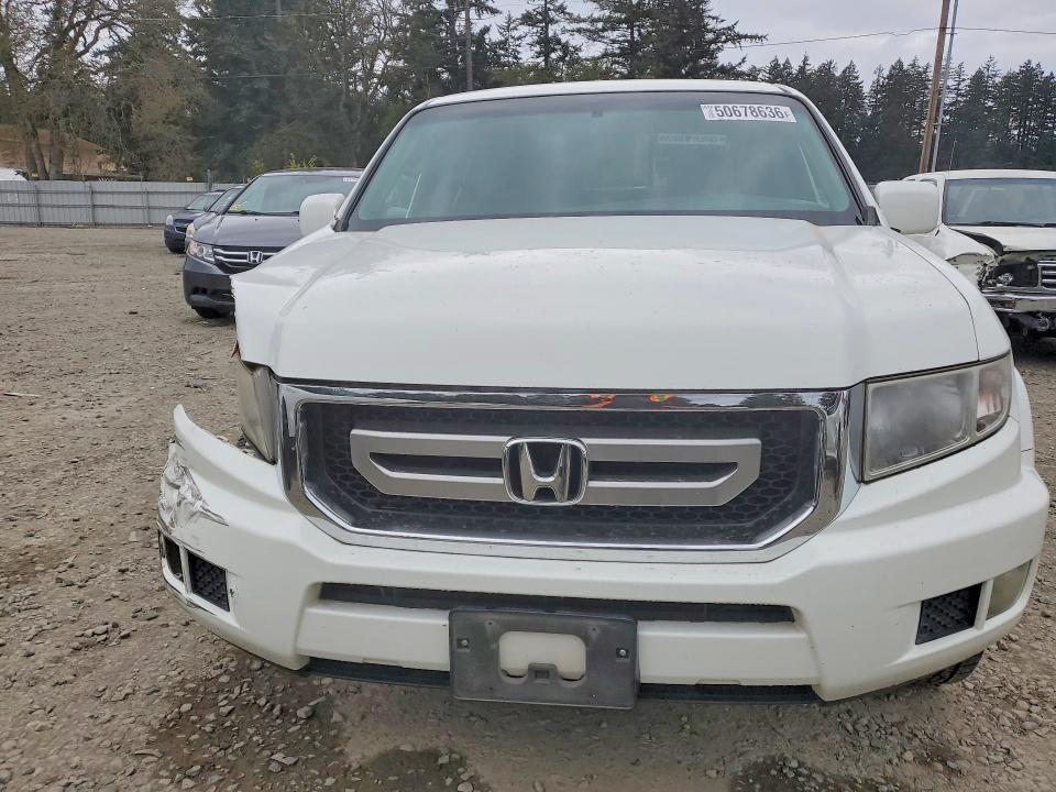 Продаж на аукціоні авто 2009 Honda Ridgeline, vin: 5FPYK16429B101690, номер лоту: 50678636