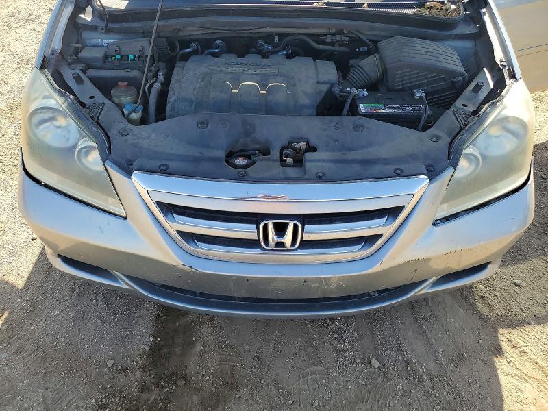 Продажа на аукционе авто 2005 Honda Odyssey, vin: 5FNRL38445B126748, номер лота: 51002646