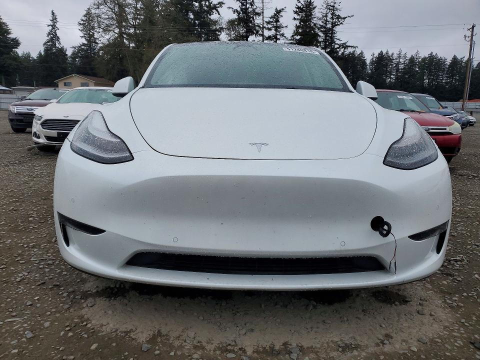 51280816 :رقم المزاد ، 5YJYGDEE5MF097486 vin ، 2021 Tesla Model Y مزاد بيع