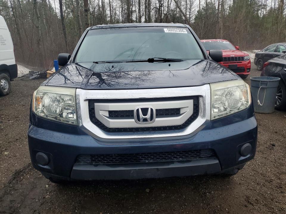 50052306 :رقم المزاد ، 5FNYF48269B501455 vin ، 2009 Honda Pilot مزاد بيع