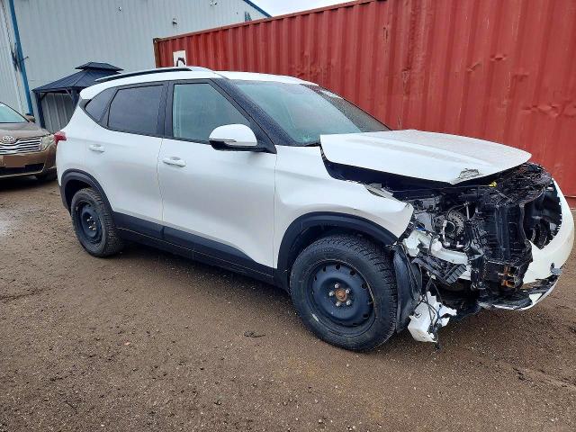 Auction sale of the 2023 Kia Seltos, vin: KNDEP2AA8P7445298, lot number: 51859406