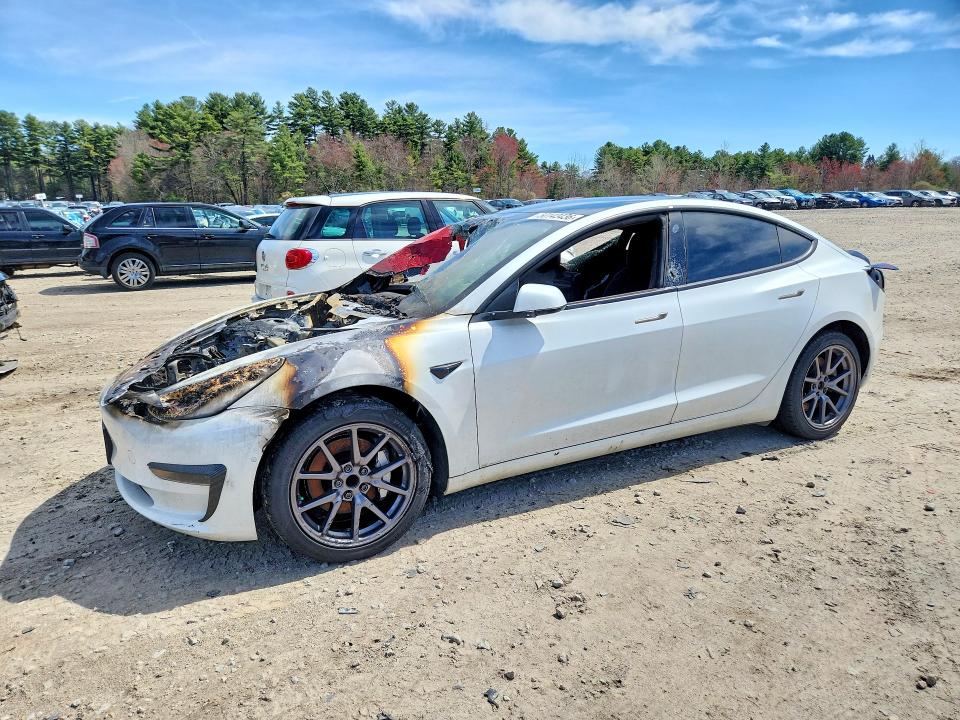 Продаж на аукціоні авто 2020 Tesla Model 3, vin: 5YJ3E1EA7LF632943, номер лоту: 50143436