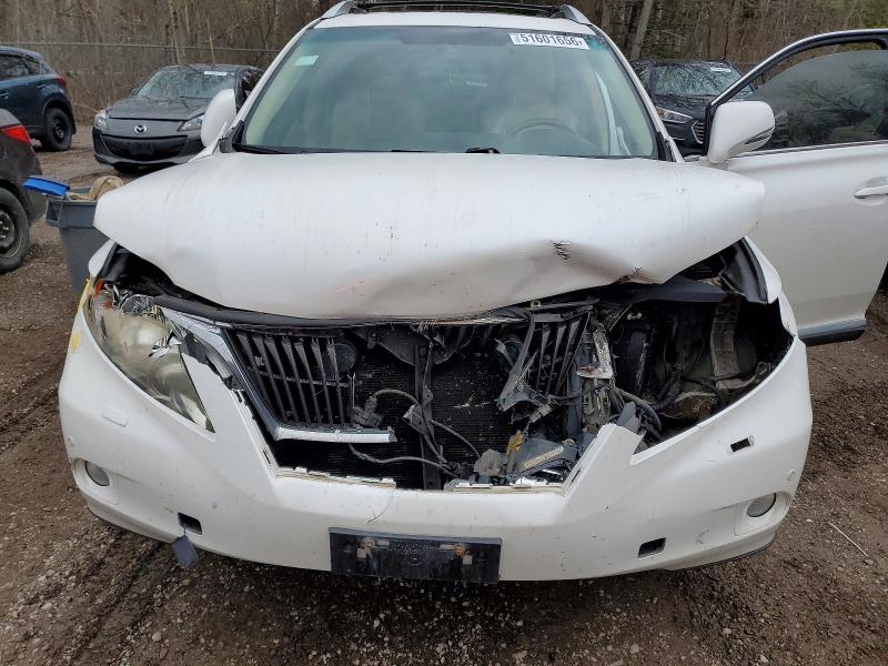 Продаж на аукціоні авто 2010 Lexus Rx, vin: JTJBK1BA3A2418442, номер лоту: 51601656