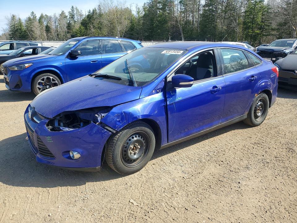 50813456 :رقم المزاد ، 1FADP3F25DL328130 vin ، 2013 Ford Focus مزاد بيع