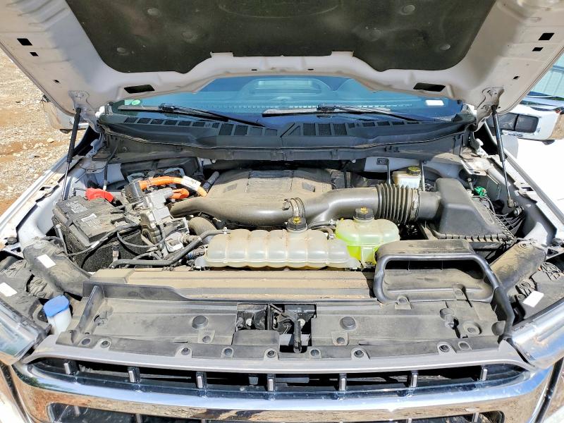 2021 Ford F150 მანქანა იყიდება აუქციონზე, vin: 1FTFW1ED0MFC40954, აუქციონის ნომერი: 51595136