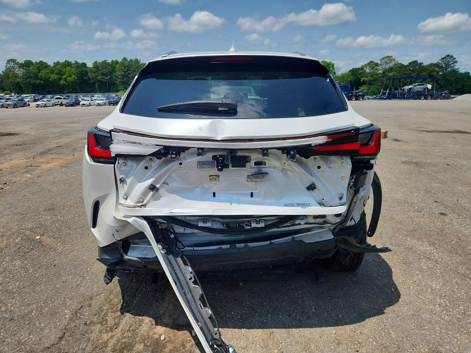 Продаж на аукціоні авто 2023 Lexus Nx, vin: JTJGDCAZ7P5012271, номер лоту: 50567856