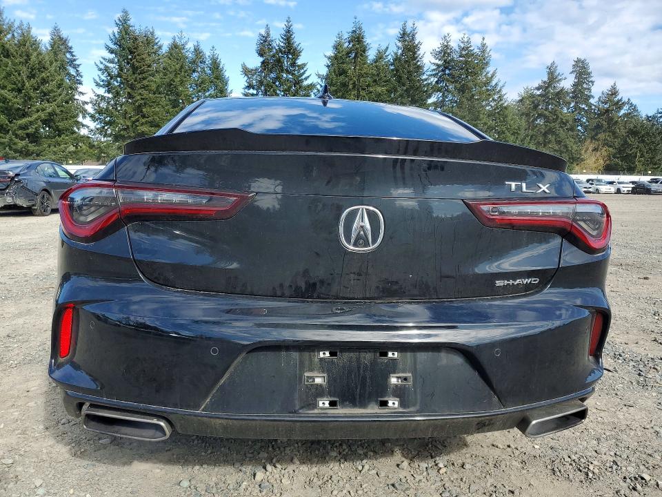 Продаж на аукціоні авто 2023 Acura Tlx, vin: 19UUB6F51PA006008, номер лоту: 48447856