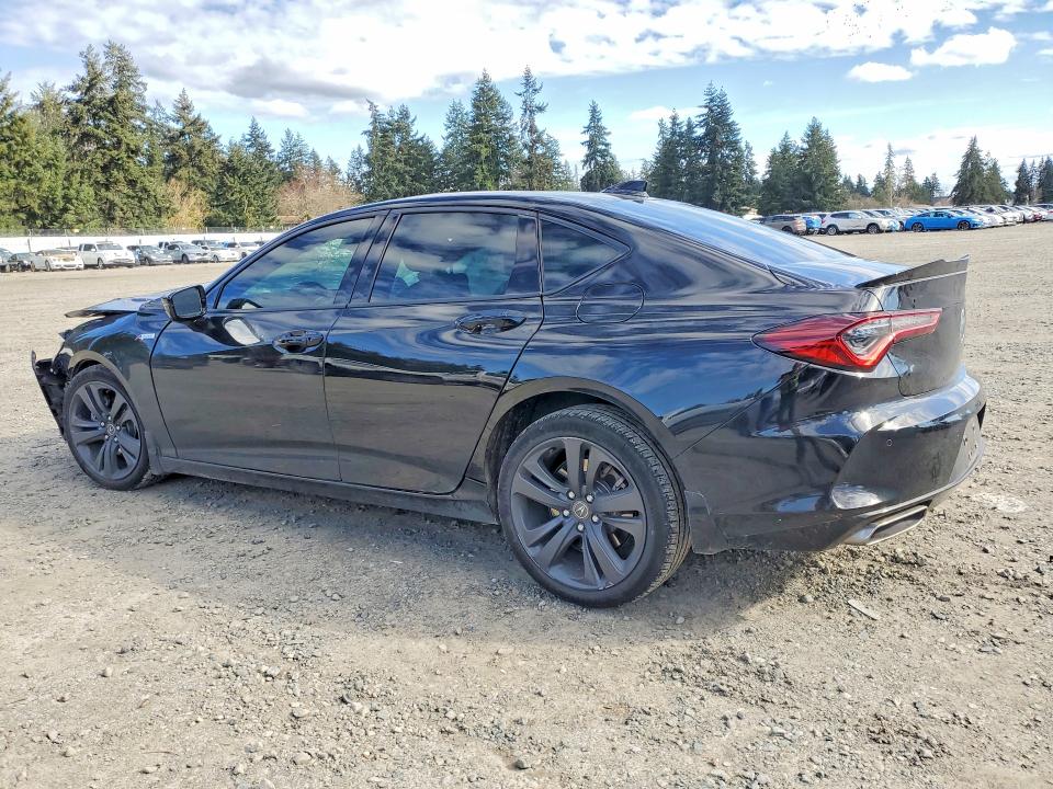Продаж на аукціоні авто 2023 Acura Tlx, vin: 19UUB6F51PA006008, номер лоту: 48447856