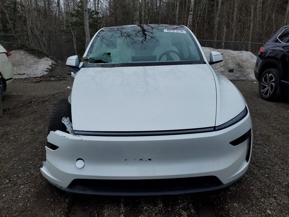 Продаж на аукціоні авто 2026 Tesla Model Y, vin: 7SAYGDEE8TF323411, номер лоту: 48121216