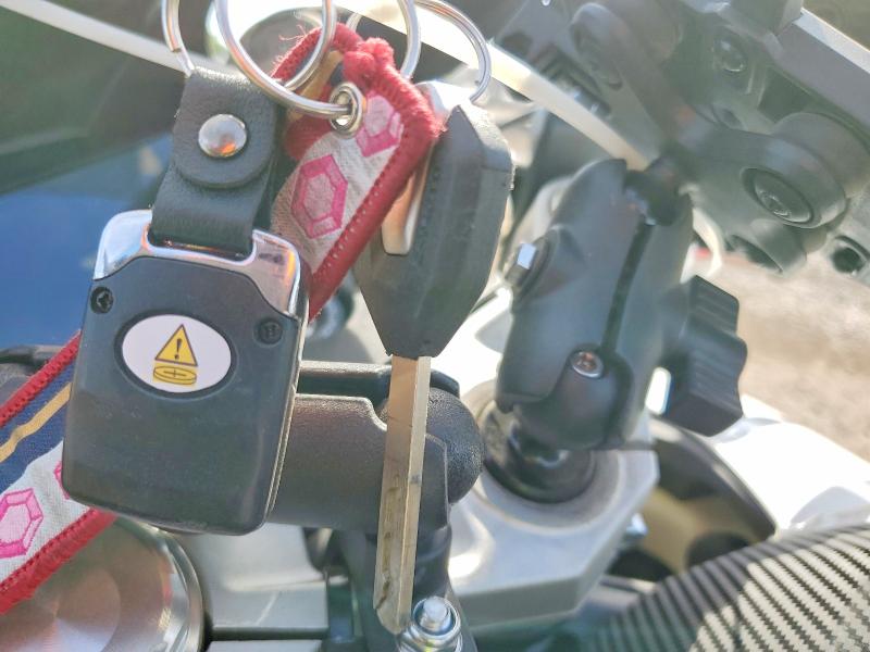 Продажа на аукционе авто 2025 Cf Moto 450ss, vin: LCEPESLA0S6002699, номер лота: 50977506