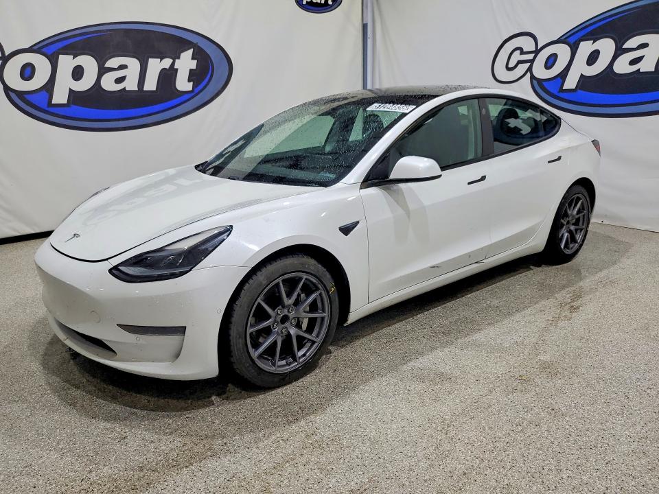 51284856 :رقم المزاد ، 5YJ3E1EA7MF026608 vin ، 2021 Tesla Model 3 مزاد بيع
