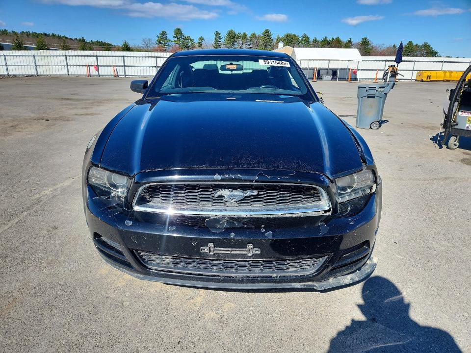 50415486 :رقم المزاد ، 1ZVBP8AM0E5294026 vin ، 2014 Ford Mustang مزاد بيع