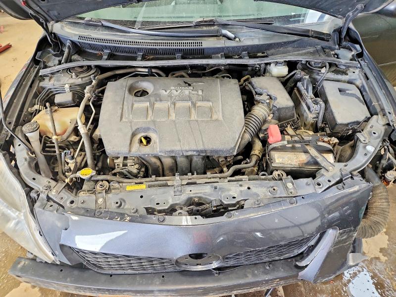 51258776 :رقم المزاد ، 2T1BU4EE0AC336084 vin ، 2010 Toyota Corolla مزاد بيع