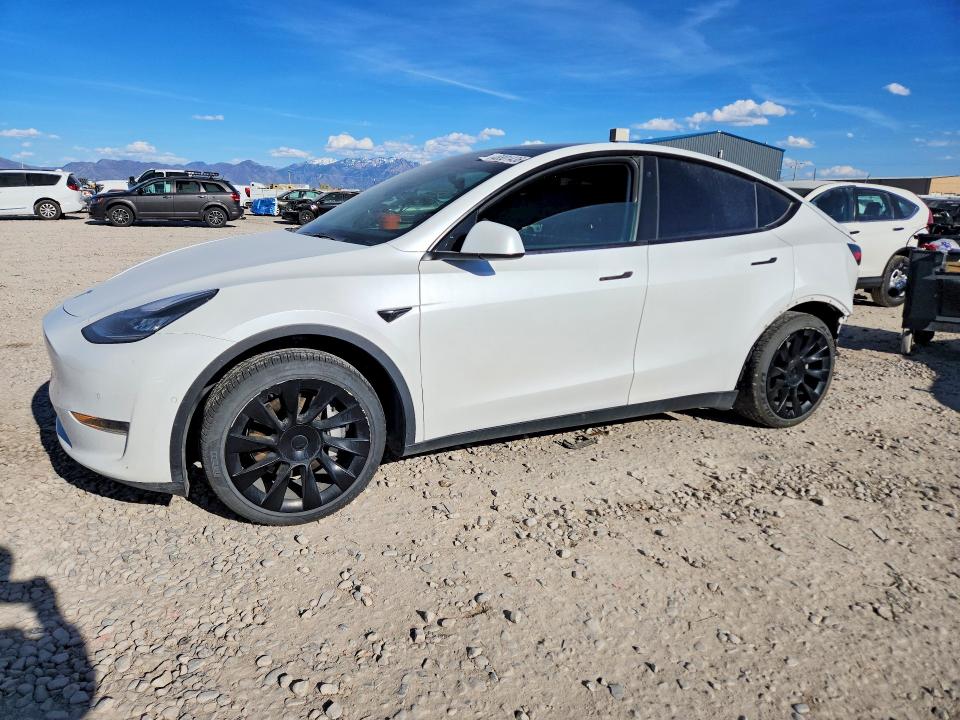 Auction sale of the 2021 Tesla Model Y, vin: 5YJYGAEE4MF136650, lot number: 48801436