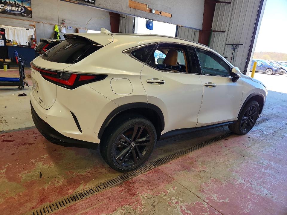 74366465 :رقم المزاد ، JTJHKCFZ9S2056639 vin ، 2025 Lexus Nx مزاد بيع