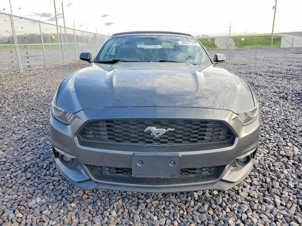 49641226 :رقم المزاد ، 1FATP8UH7H5204256 vin ، 2017 Ford Mustang مزاد بيع
