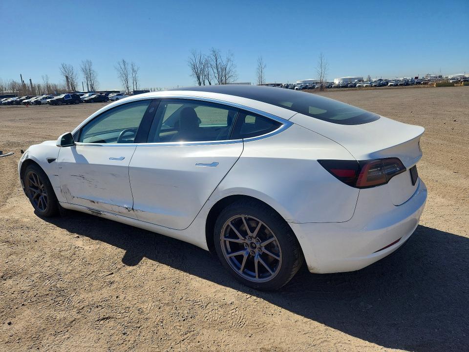 Продаж на аукціоні авто 2020 Tesla Model 3, vin: 5YJ3E1EA5LF529391, номер лоту: 51252256