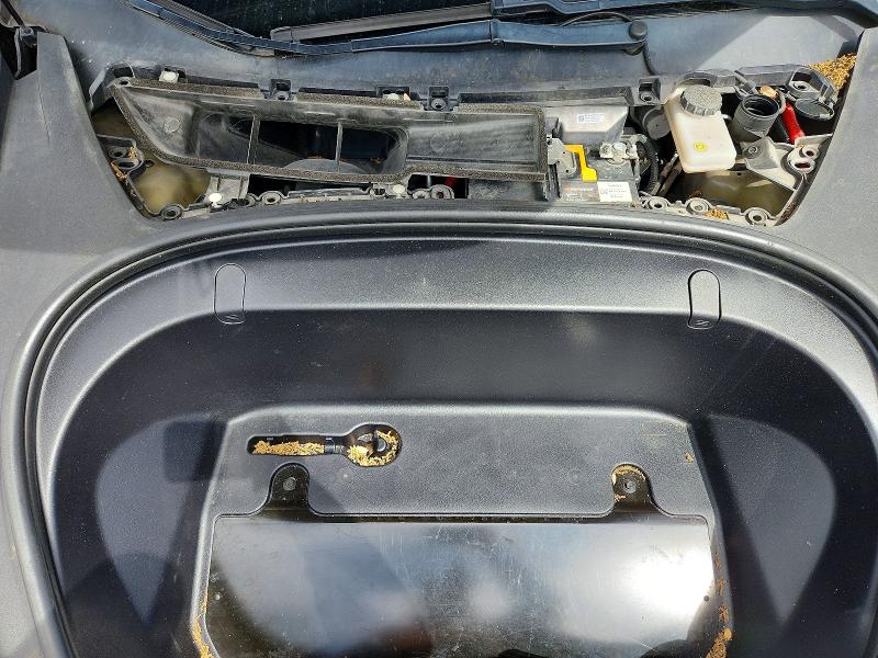 Продажа на аукционе авто 2019 Tesla Model 3, vin: 5YJ3E1EA4KF313613, номер лота: 49716026