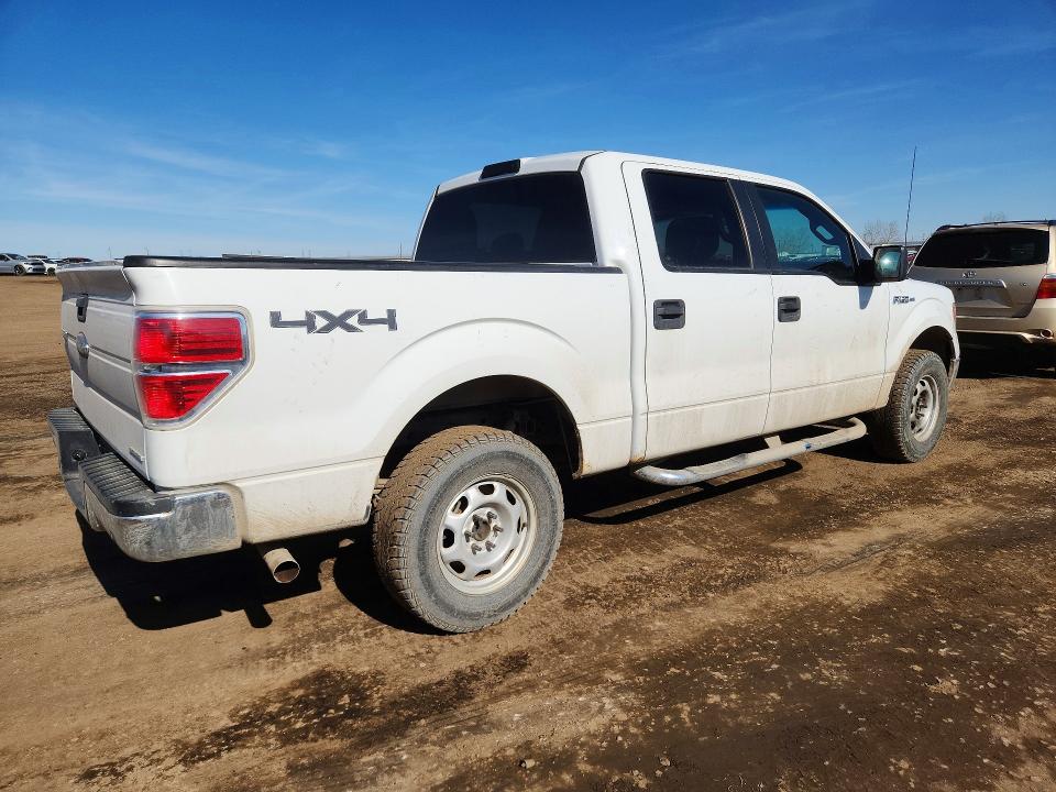 Aukcja sprzedaży 2013 Ford F150, vin: 1FTFW1EFXDFC67810, numer aukcji: 49826406